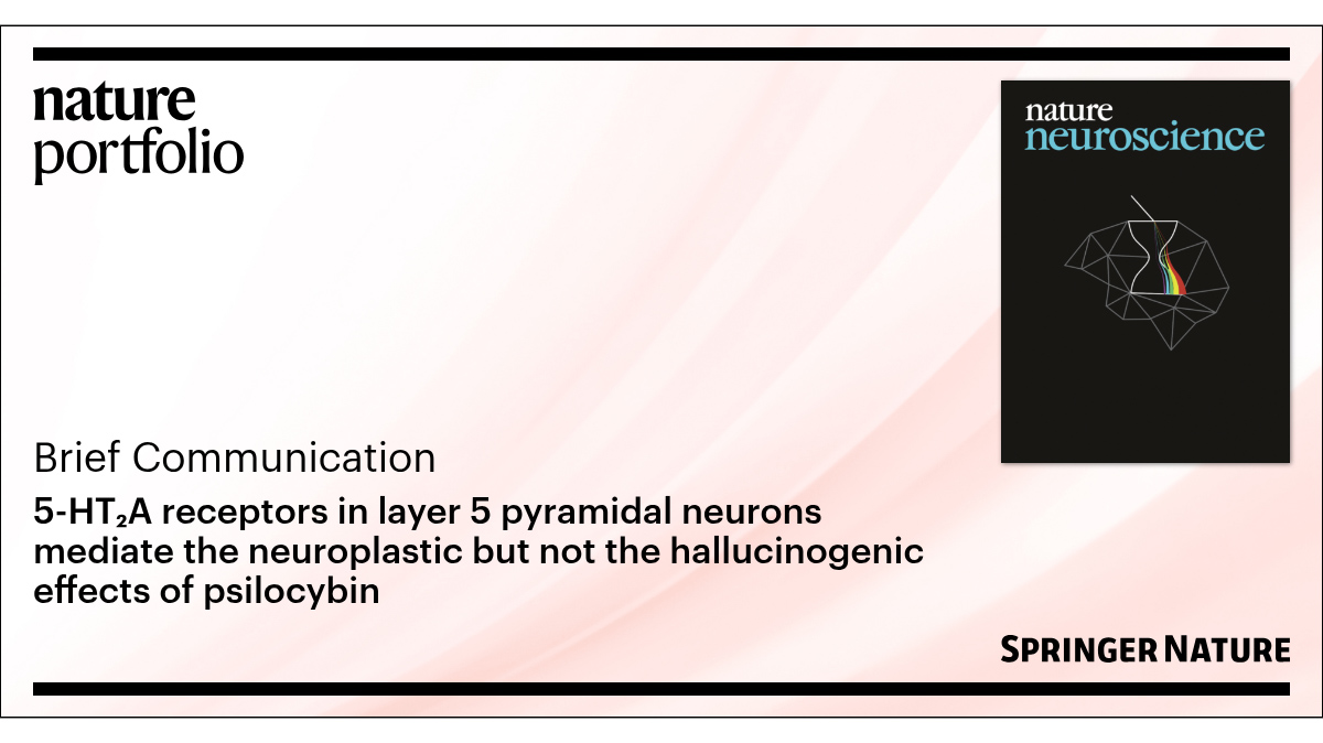 Congratulation on Jacob and Emily’s paper “5-HT2A receptors in layer 5 pyramidal neurons mediate the neuroplastic but not the hallucinogenic effects of psilocybin”